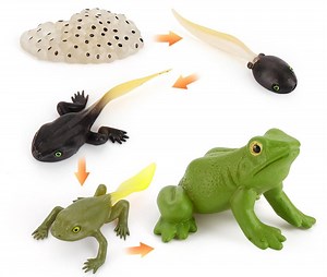 The Simulation Model Life Cycle (Part 1) - Defining the problem