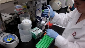 Adipocyte-Specific ATAC-Seq with Adipose Tissues Using Fluorescence-Activated Nucleus Sorting