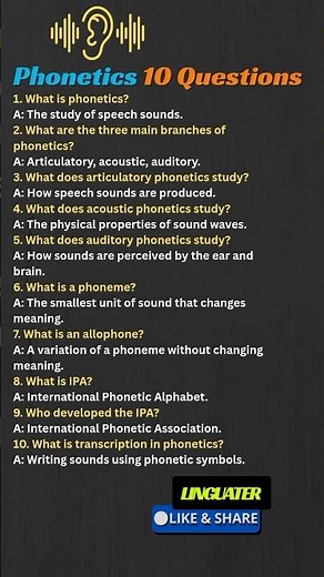Top 10 Phonetics Questions Every Student Must Know - Branches of Phonetics - IPA