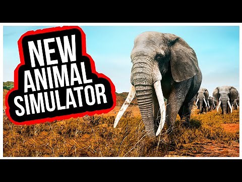 NEW Animal Simulator! I Played as a LION and ate an ELEPHANT! - Animalia Survival Gameplay