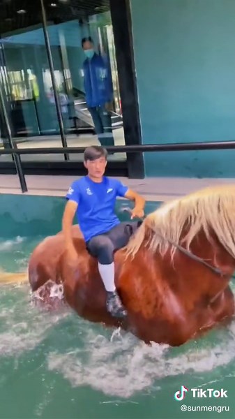 Gigantic Horse Encounters: Exploring the World's Largest Equine