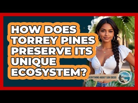 How Does Torrey Pines Preserve Its Unique Ecosystem? - Everything About San Diego
