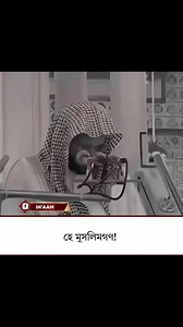 820K views · 46K reactions | Feathers on Reels | Facebook