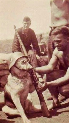 INCREDIBLE Photos from World War II #history #viral #newfacts