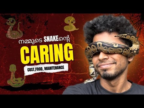 വളർത്തു പാമ്പ് വാങ്ങിയാൽ അതിന്റെ care,cost,Maintenance അറിയണോ? 🤑🤑🐍
