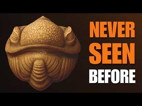 Volcanic Ash Froze Trilobites and Rewrote Science | Tribobite Documentary