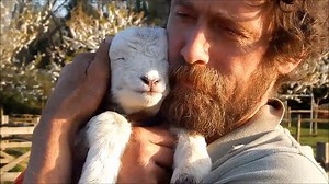 Animals Hug Humans - The Most Beautiful And Heart Touching Video