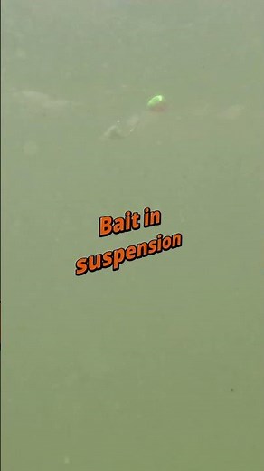 Pompano Rig Underwater Testing, Float your bait and catch more fish! Pompano hits!