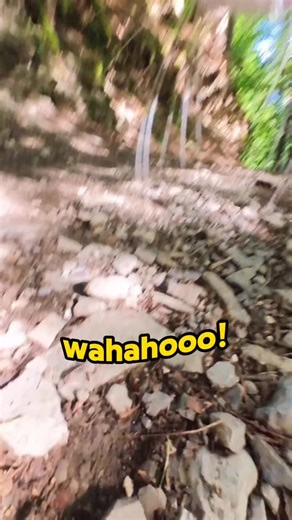 Ros met some creepy runners 🙀 Stand your ground!! 😹 | Ros Adventure Cat