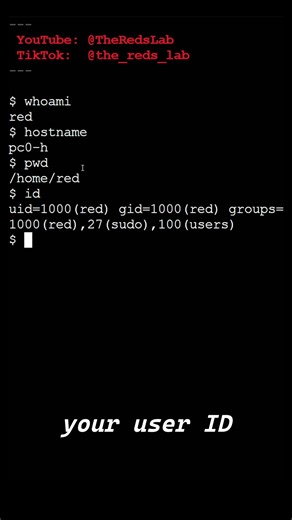 Linux commands to know who & where you are! #linux #command #shell