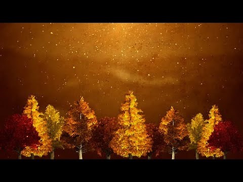 Free 4K Autumn Motion Background - Leaves In Fall - Instant Digital Download