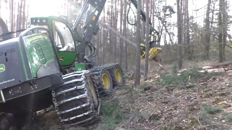 Mastering Scots Pine Thinning with the Latest Forestry Technology