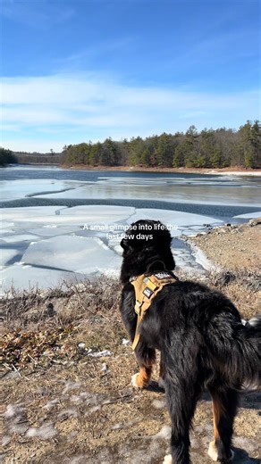 Reflecting on Life: A Glimpse Into My Last Few Days