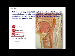 Where Is The Piriform Recess Located? • Video • MEDtube.net