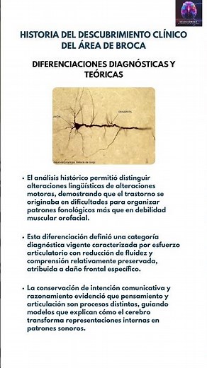 #Neuroscience: Diagnostic differentiations in Broca's aphasia 🎯