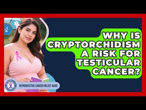 Why Is Cryptorchidism A Risk For Testicular Cancer? - Reproductive Cancer Relief Guide