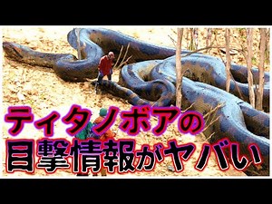 絶滅したのか!?ティタノボア目撃の証言がヤバい【ゆっくり解説】【未確認生物】【UMA】【ゆっくり解説】