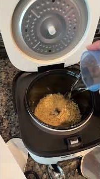 Rice Robot: Personal Rice Cooker with Steamer - Easy Clean, Compact