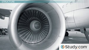 Mitochondria | Definition, Function & Structure