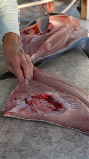 13K views · 233 reactions | Dinner from the deep. : Capt. Nick Stanczyk #PENNFishing #LetTheBattleBegin #DeepDrop #Fishing #Pomfret #CatchCleanCook | PENN Fishing | Facebook