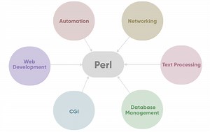 What is Perl and How it works? An Overview and Its Use Cases - DevOpsSchool.com
