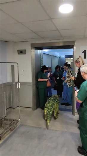 Exploring Hospital Lifts with a Dinosaur