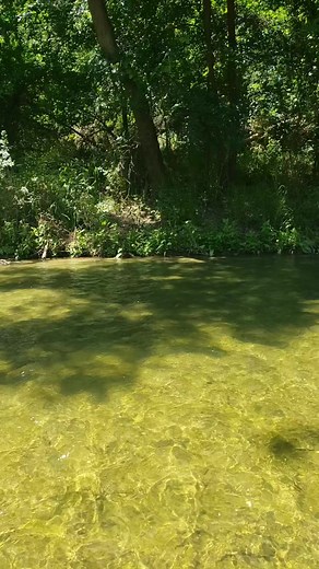 1K views · 43 reactions | Tres Rios Squaw Creek | Tres Rios RV Resort | Facebook