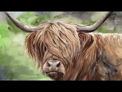 Watercolor Highland Cow Painting Tutorial