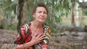 400-year-old 'scar tree' returned to Wollithiga Country