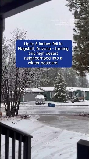 Flagstaff's First Snow