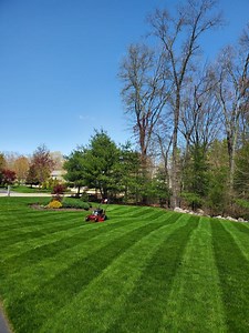 August Lawn Care Guide & Schedule (2026) - Lawn Phix