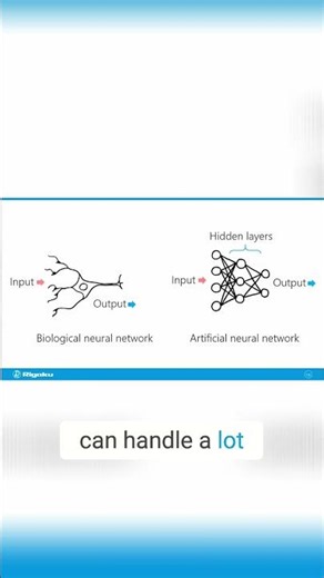 Deep Learning Biological vs Artificial Neural Networks Explained!
