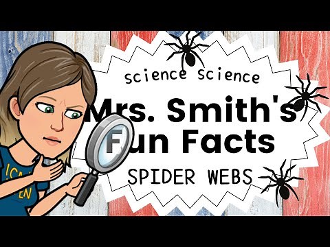 Spider Webs: Mrs. Smith's Fun Science Facts for Kids Elementary Science
