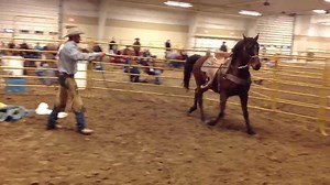 1K views · 33 reactions | The Kearney Colt Starting Challenge! 6 talented trainers gave their horses a great start. In First Place was Robert Carsel of Ames IA. In Second Place was Ethan Shaffer of Oskaloosa KS. In Third Place was Tony Edwards of Englewood CO. | Colt Starting Challenge USA | Facebook