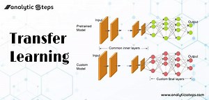 How is Transfer Learning done in Neural Networks and Convolutional Neural Networks? | Analytics Steps