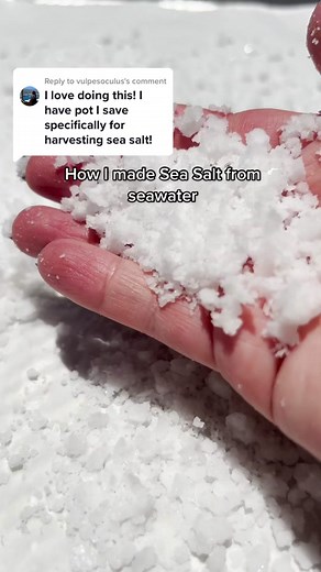 How to Make Sea Salt from Seawater