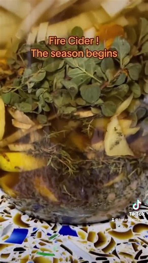 Fire Cider: Herbal Tonic With Horseradish, Ginger & Garlic (3 Oz) - Etsy