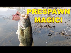 How To Find And Catch Bass In Early Spring | How To | Bass Fishing