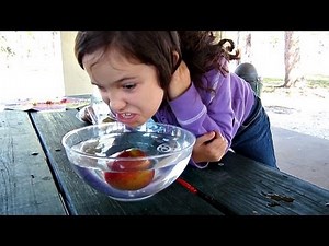 BOBBING FOR APPLES