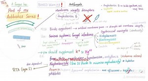 Antibiotics and Antifungals | Amphotericin B | Medical Mnemonics. | Medicosis Perfectionalis
