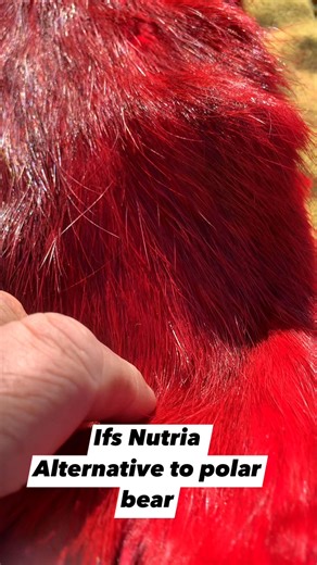 Irish Fly Supplies Ltd on Reels