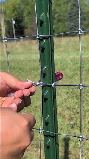 How To Install T Post Clips #farming #fencing #homestead #country