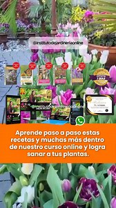 2M views · 32K reactions | ¿Tienes muchas plantas, pero algunas de...