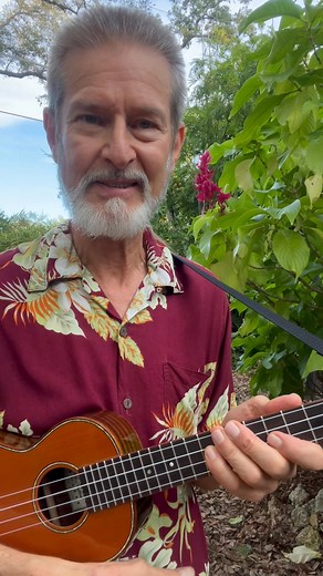 UKULELE TIPS & TECHNIQUES #11 🗝️ A MAJOR CHORD consists of three notes: the first, the third, and the fifth notes, climbing the musical alphabet (the Scale), starting with the note that is the chord name, (the Root of the chord). For example, the C Major chord is C, E, G. (Check it out on your fingers.) See today's video to find out why we have four strings. 🔆 Why the I, IV, V7 CHORD PROGRESSION 🔆 🔅 Today's VIDEO is about how we tell a story with the music. NEXT WEEK: When to choose Low G (o