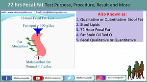 Fecal Fat Test: Purpose, Procedure, and Interpretation of Results