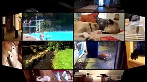 UC No More Buffering - Watch the video online #UCBrowser | UC Browser