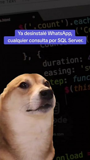 #andercode #meme #dev #sqlserver | AnderCode