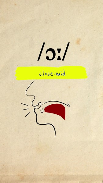 Close-Mid Back Rounded Vowel Sound /ɔː/ Explained