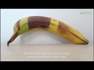 How do you know if your UV light sanitizer is TRUE or FAKE?