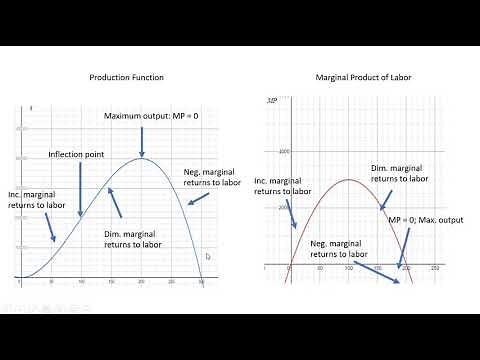 Production Function with Increasing, Diminishing, and Negative Marginal Returns to Labor